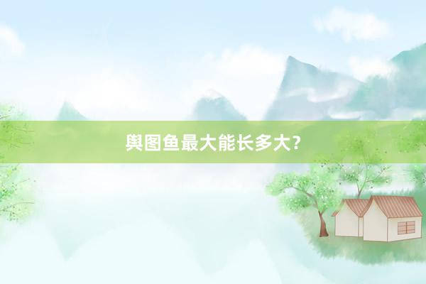 舆图鱼最大能长多大？